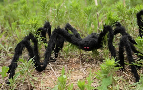 Image of Giant Halloween Spiders for Party and Home Decorations - JustPeri - Drive Your Destiny