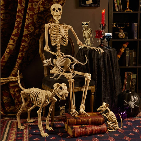 Image of Halloween Skeleton Decoration, Scary Plastic Animals Bone Props Collection - JustPeri - Drive Your Destiny