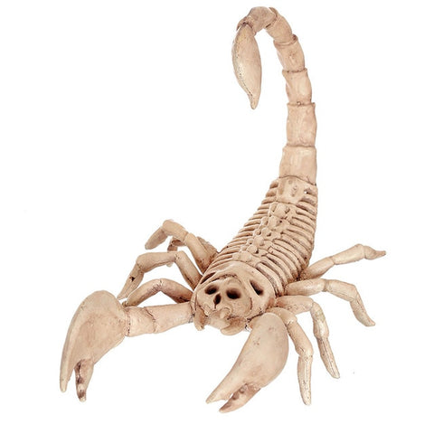 Image of Halloween Skeleton Decoration, Scary Plastic Animals Bone Props Collection - JustPeri - Drive Your Destiny