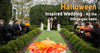 Halloween Inspired Wedding : All the Things You Need