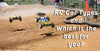 Introduction: Types of RC Cars and Which is the best for you?